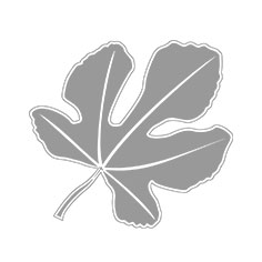 silver leaf